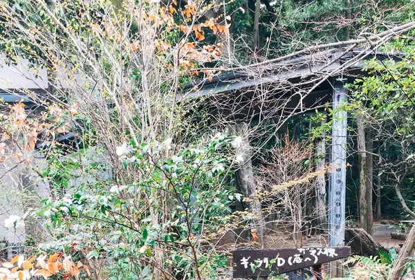 島田美術館の写真・動画_image_235435