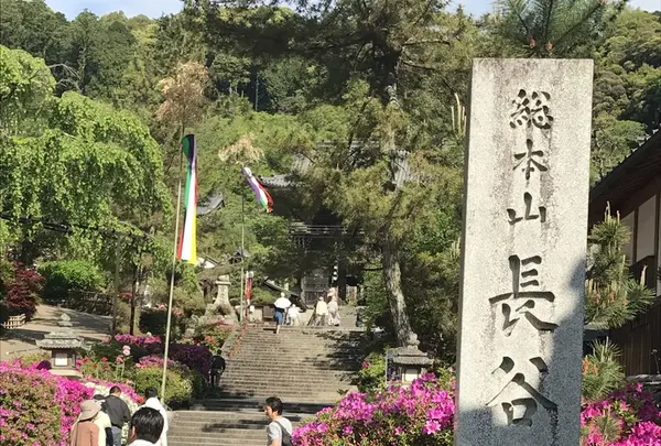 長谷寺の写真・動画_image_235647