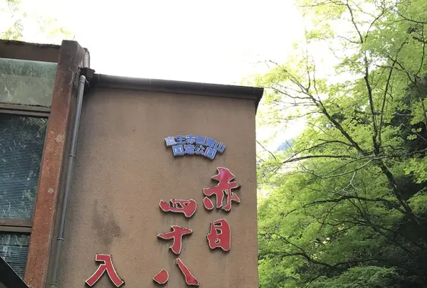赤目四十八滝の写真・動画_image_235653