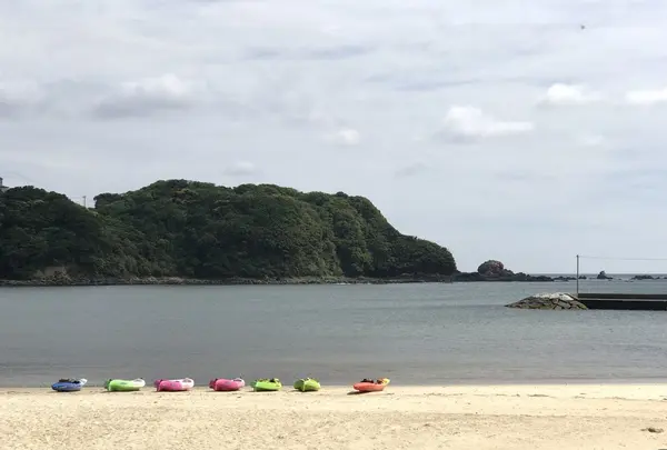 ペットと泊まる伊豆下田温泉宿 晴レ屋の写真・動画_image_236398