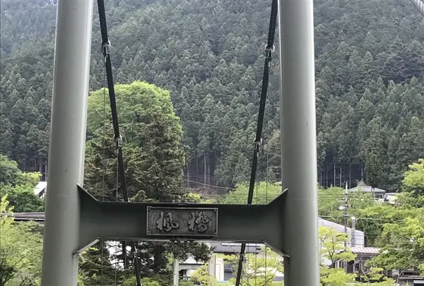 澤乃井園　清流ガーデンの写真・動画_image_236440