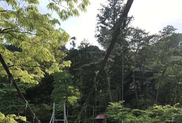 澤乃井園　清流ガーデンの写真・動画_image_236443