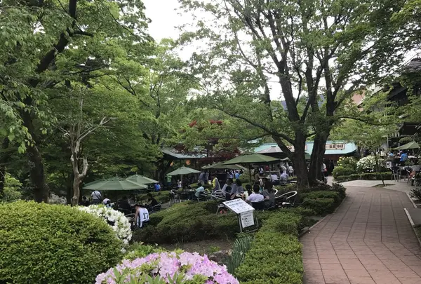 澤乃井園　清流ガーデンの写真・動画_image_236445