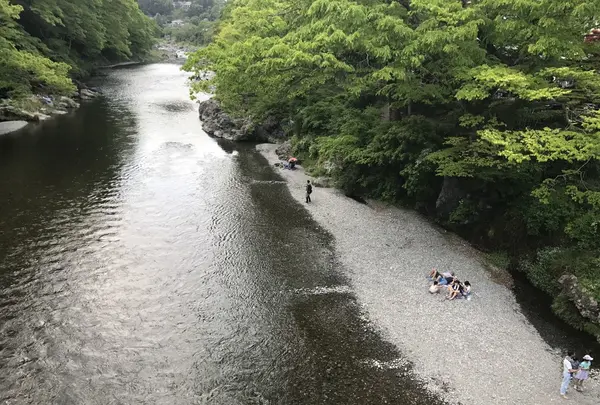 澤乃井園　清流ガーデンの写真・動画_image_236446