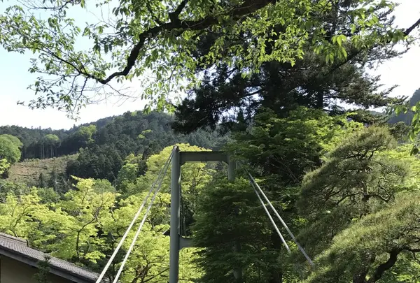 澤乃井園　清流ガーデンの写真・動画_image_236447