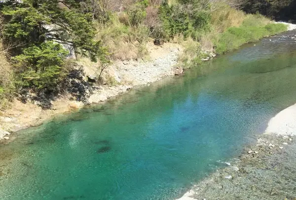 いの町の写真・動画_image_236663