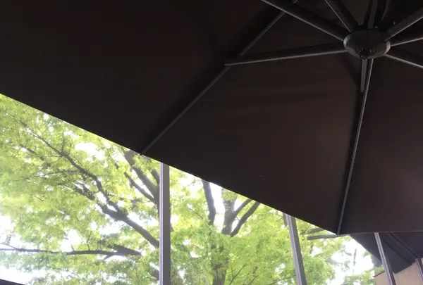 IVY PLACE(アイヴィープレイス)の写真・動画_image_236893