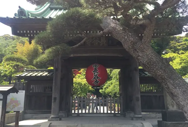 長谷寺の写真・動画_image_237260