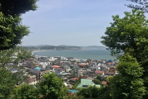 長谷寺の写真・動画_image_237261
