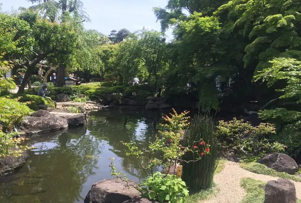 長谷寺の写真・動画_image_237265