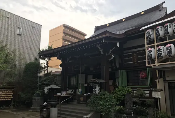 飛不動の写真・動画_image_237336