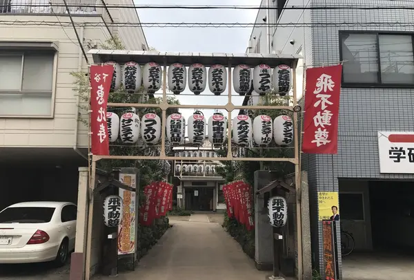 飛不動の写真・動画_image_237337