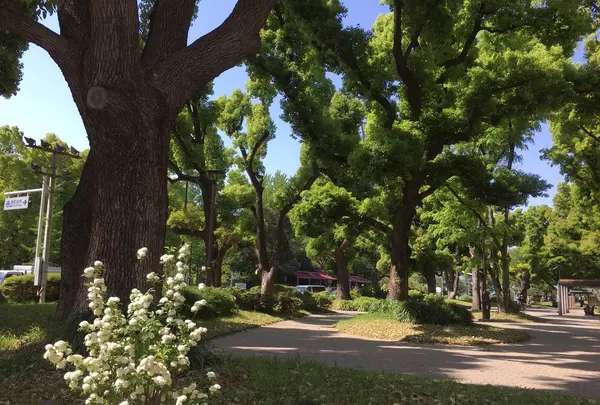 Le Pain Quotidien (ル・パン・コティディアン) 芝公園店の写真・動画_image_237939