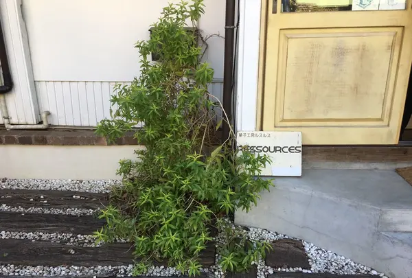 ルスルス 東麻布店の写真・動画_image_237943