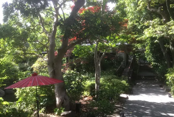 元湯陣屋の写真・動画_image_238052