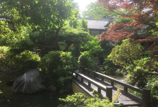 元湯陣屋の写真・動画_image_238053