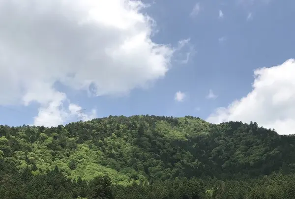 美山かやぶきの里の写真・動画_image_238214
