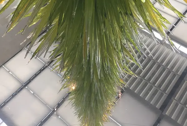 ボストン美術館の写真・動画_image_238602