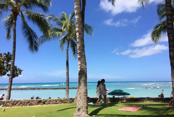 ワイキキの写真・動画_image_238883