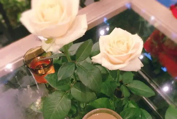 アオヤマ フラワー マーケット ティー ハウス（Aoyama Flower Market TEA HOUSE）赤坂Bizタワー店の写真・動画_image_239287
