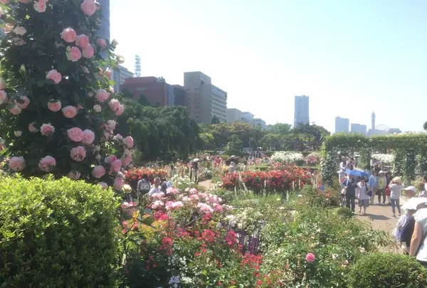 山下公園の写真・動画_image_239307