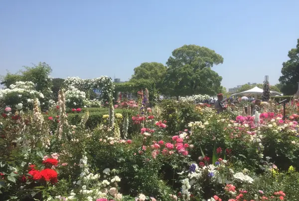 山下公園の写真・動画_image_239312