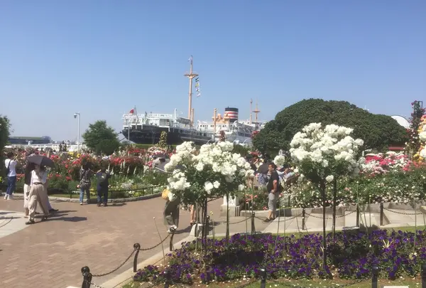 山下公園の写真・動画_image_239313