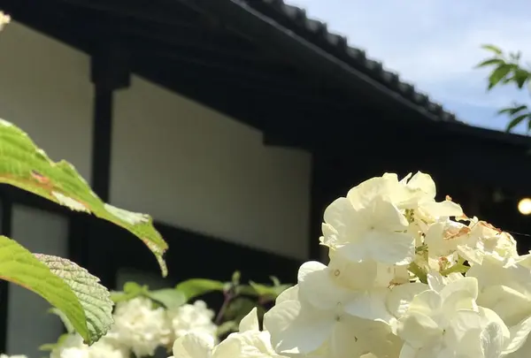 甘味処 ふくまめの写真・動画_image_239558