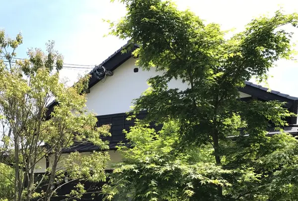 甘味処 ふくまめの写真・動画_image_239570