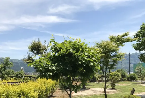 甘味処 ふくまめの写真・動画_image_239572