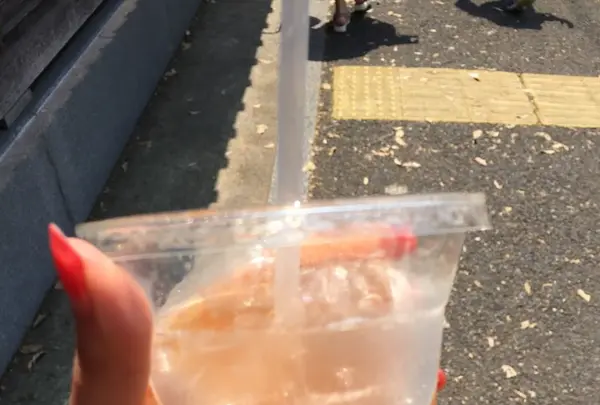 ブルーボトルコーヒー（Blue Bottle Coffee）中目黒店の写真・動画_image_239642
