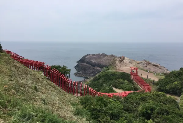 元乃隅神社の写真・動画_image_239716