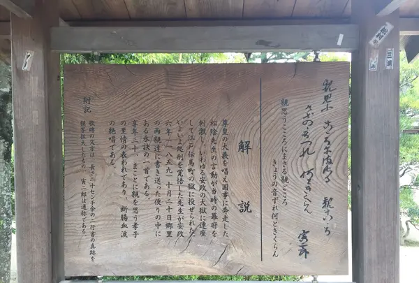 松陰神社の写真・動画_image_239743