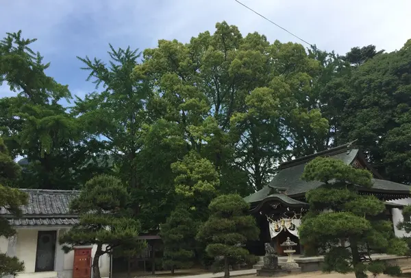松陰神社の写真・動画_image_239744