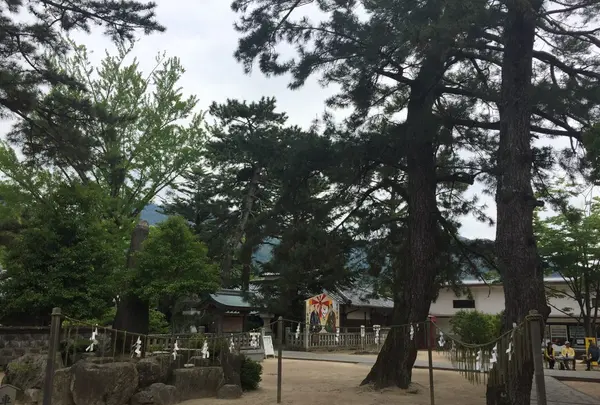 松陰神社の写真・動画_image_239750