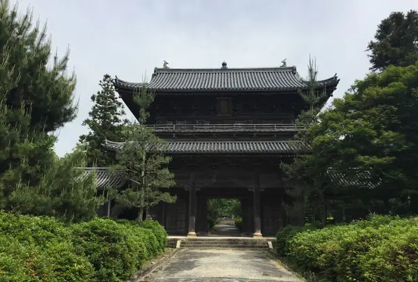 東光寺の写真・動画_image_239758