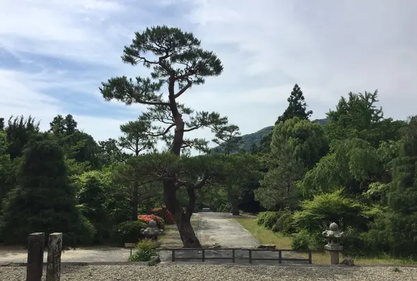 東光寺の写真・動画_image_239760