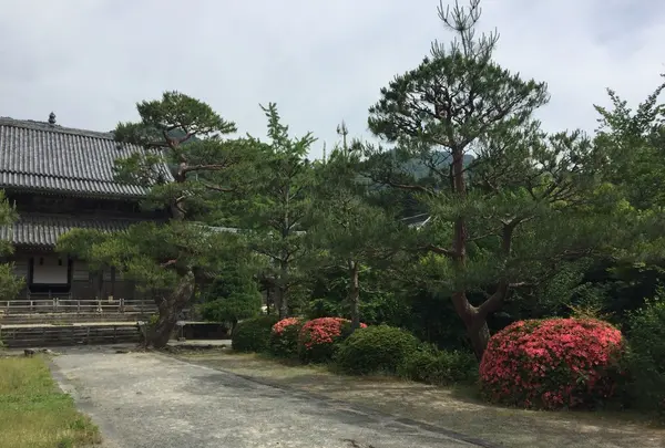 東光寺の写真・動画_image_239761