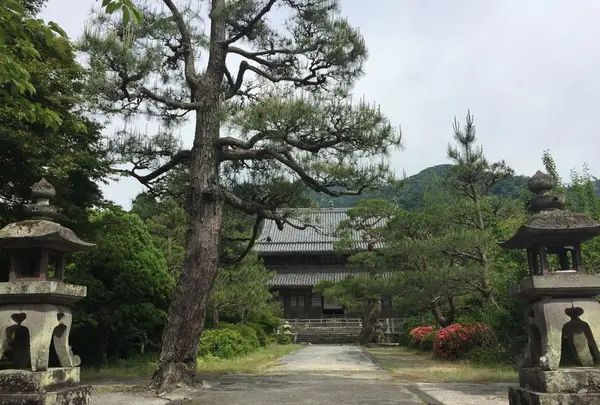 東光寺の写真・動画_image_239762