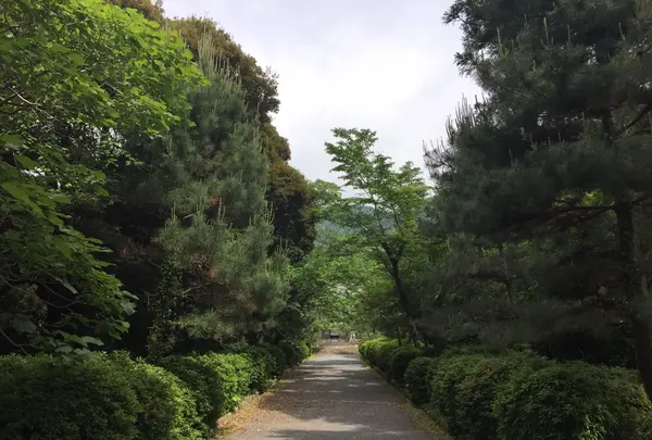 東光寺の写真・動画_image_239764