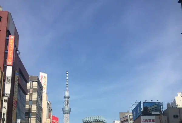 浅草寺の写真・動画_image_239823