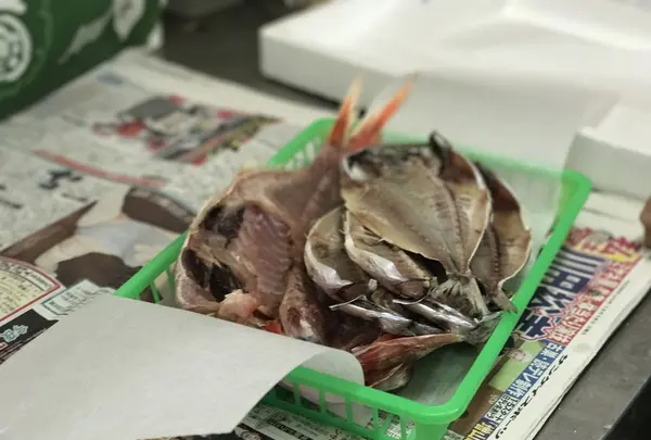 魚浅の写真・動画_image_239893