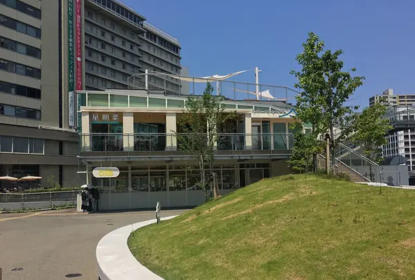 bills福岡の写真・動画_image_239901