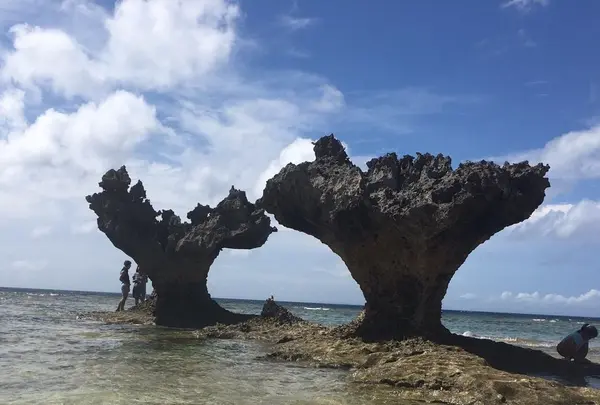 ハートロックの写真・動画_image_239910