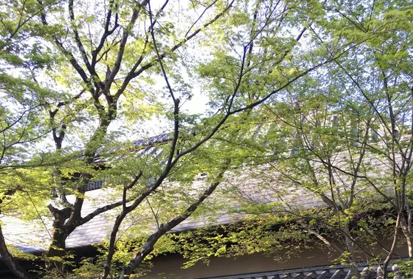 山荘無量塔の写真・動画_image_239919