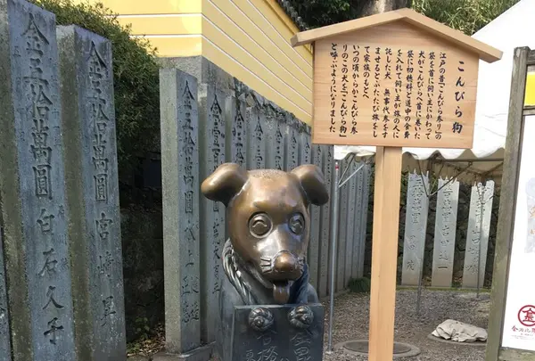 金比羅神社の写真・動画_image_239923