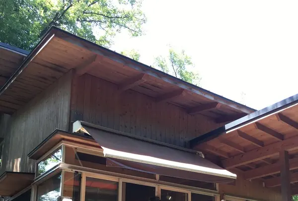 和のどかの写真・動画_image_240072