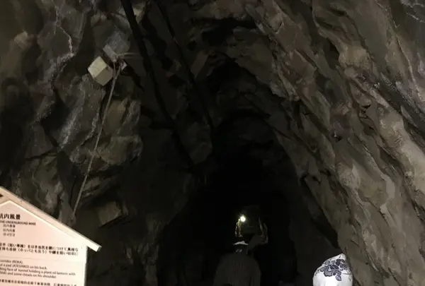 土肥金山の写真・動画_image_240107