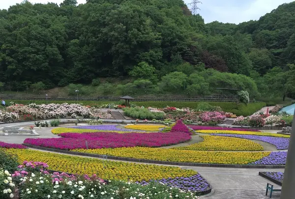 花フェスタ記念公園の写真・動画_image_240403