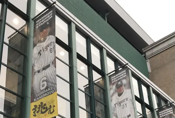 阪神甲子園球場の写真・動画_image_240431